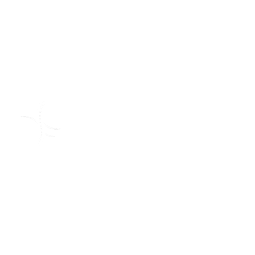 logo viviane branca
